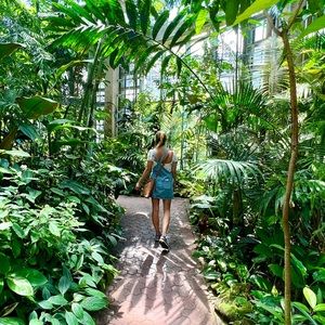 Meet your Posher, Lane